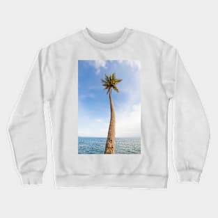 Tall palm tree against sky Crewneck Sweatshirt